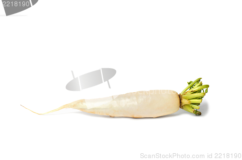 Image of White Radish