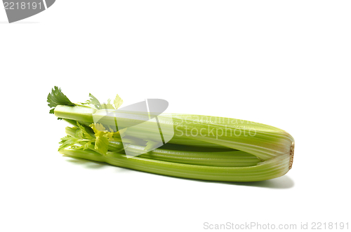 Image of Green Celery