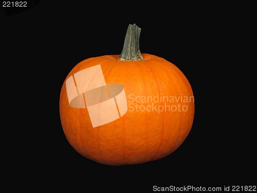 Image of Pumpkin on black background (+ clipping path)