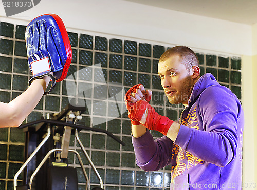 Image of training boxer