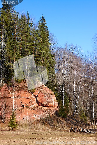 Image of Spring landscape