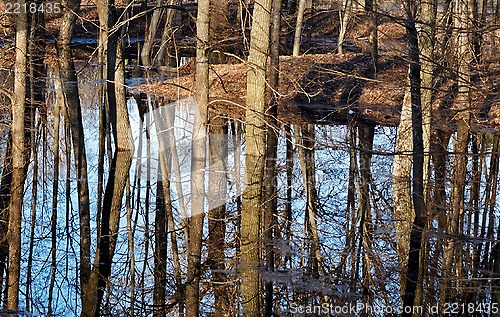 Image of Spring landscape