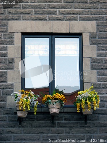 Image of Window with blooming yellow flowers