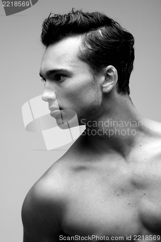 Image of Sexy Male Model Posing Without Shirt