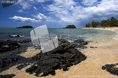 Image of  isle people palm  rock stone branch 