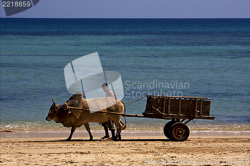 Image of dustman lagoon worker 