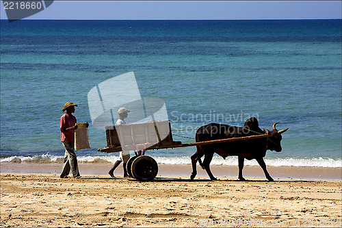 Image of hand cart  people dustman lagoon