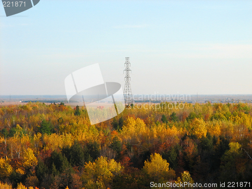 Image of Electricity pylon and the autumn wood