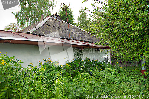 Image of Country Life Images
