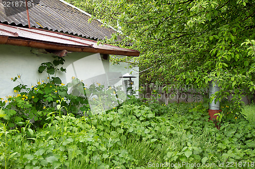 Image of Country Life Images