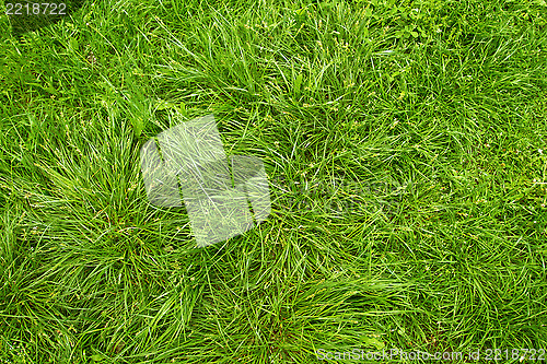 Image of Country Life Images