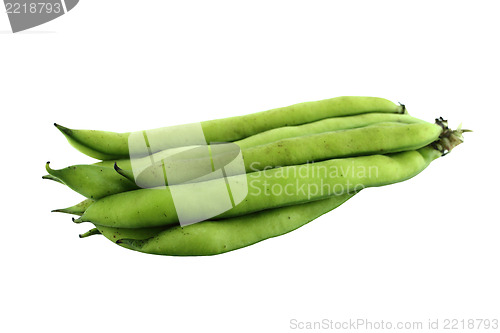 Image of broad bean pods and beans