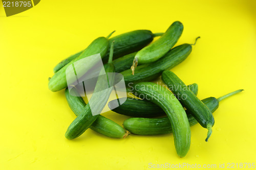 Image of Fresh Cucumber 