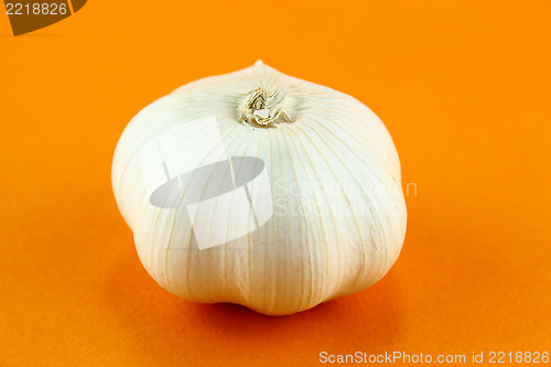 Image of Garlic