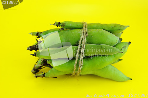 Image of broad bean pods and beans