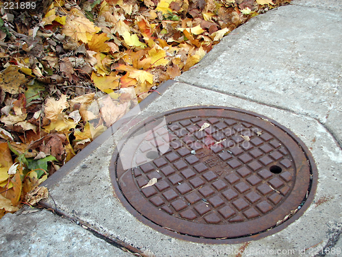 Image of Drain cover and autumn leaves