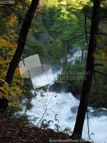 Image of Magic mountain stream in the autumn wood