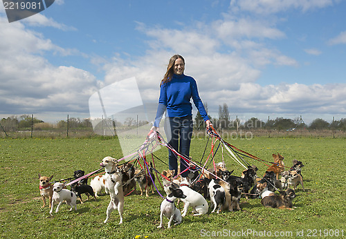 Image of girl and chihuahuas