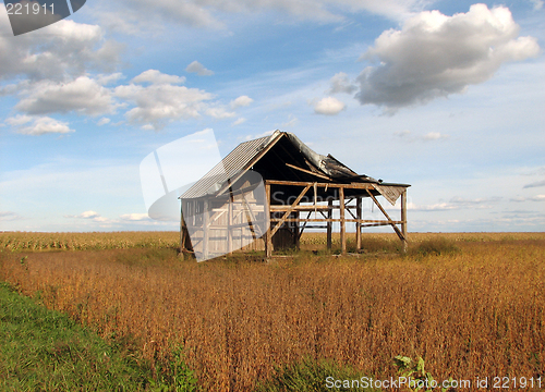 Image of Old abandoned house in the soybean field