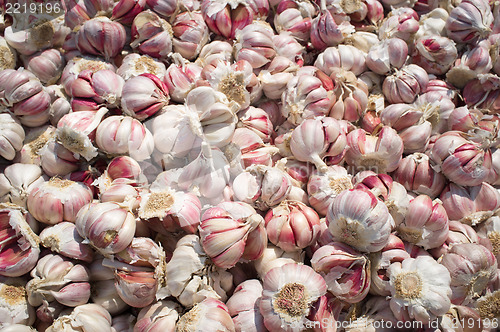 Image of Garlic bulbs