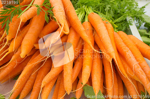 Image of Carrots