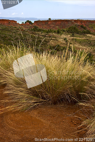 Image of hill bush plant lagoon and coastlinemadagascar 