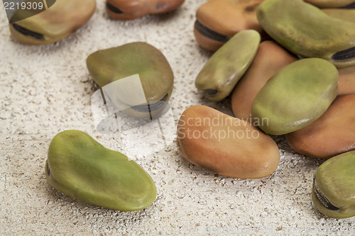 Image of fava (broad) beans