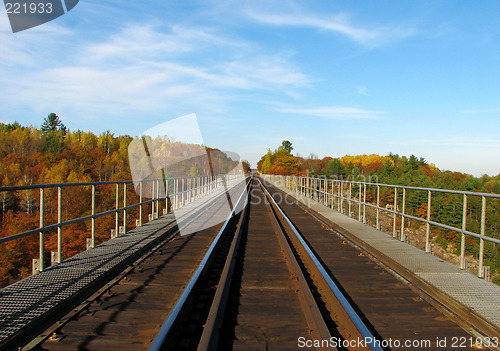 Image of One-way train track crossing the wood