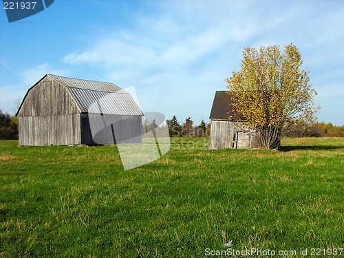 Image of Old wooden barns in the green field