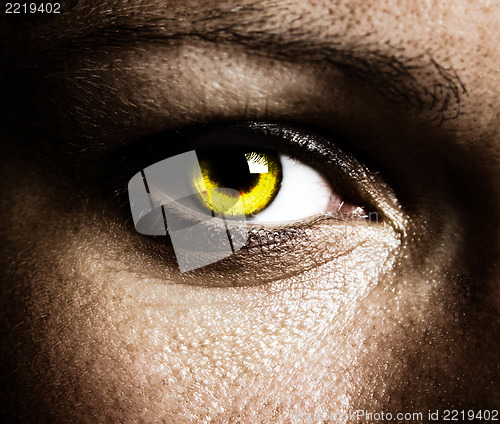 Image of Beautiful eye 