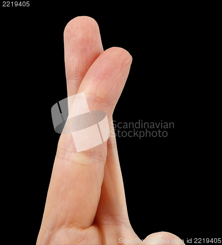 Image of White hand on black