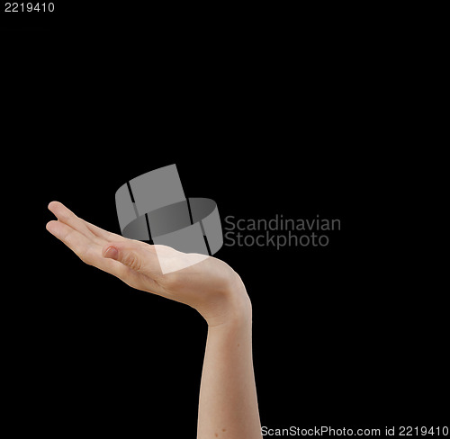 Image of White hand on black