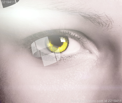 Image of Beautiful eye 