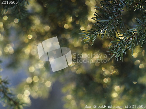 Image of bokeh