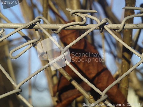 Image of fence