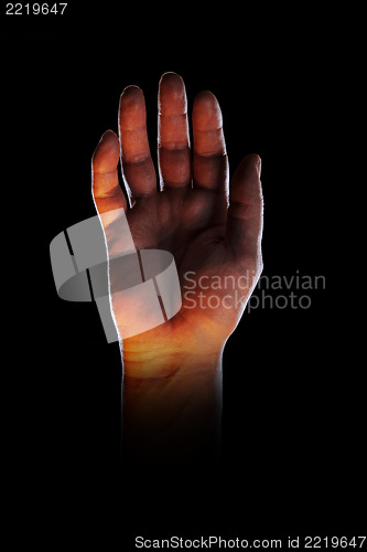 Image of Hand