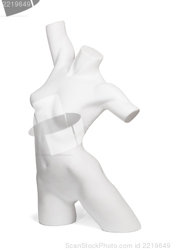 Image of White Torso