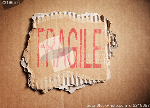 Image of Fragile