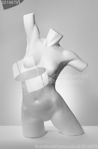 Image of Torso
