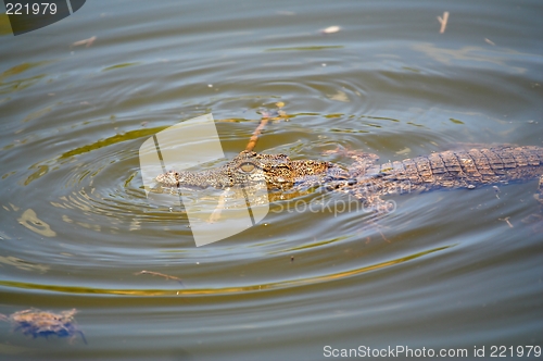 Image of water fun