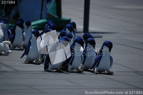 Image of Happy feet