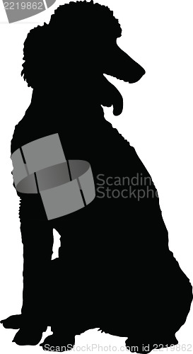 Image of Poodle Silhouette