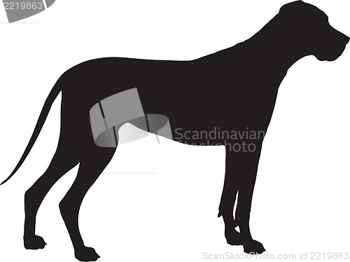 Image of Great Dane Silhouette