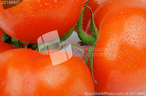 Image of Tomatoes with Stems