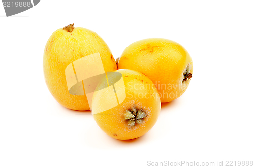 Image of Loquat Medlar Fruit