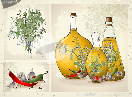 Image of Illustration of spices, spicy herbs, olive oil.