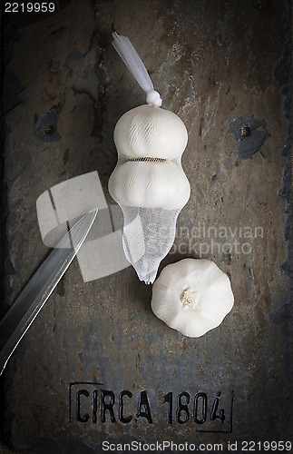 Image of Garlic Still Life