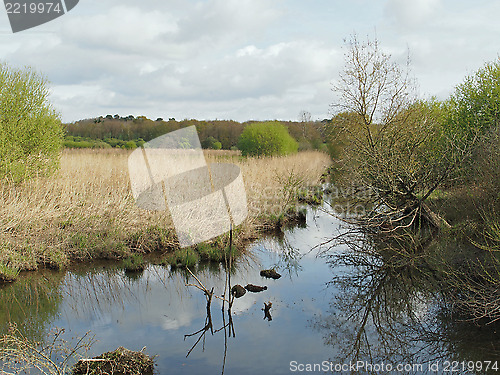 Image of Isac marsh in spring, Brittany, France