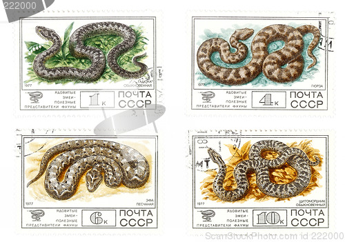 Image of Old USSR mail stamps with snakes