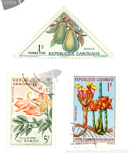 Image of Gabon post stamps with plants